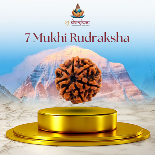 Seven Mukhi Rudraksha test