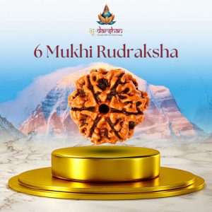 Six Mukhi Rudraksha