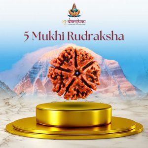 Five Mukhi Rudraksha