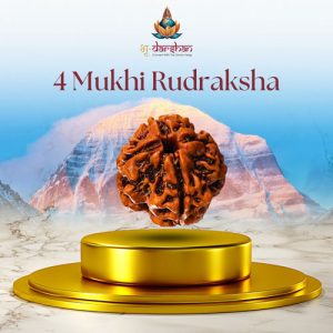 Four Mukhi Rudraksha